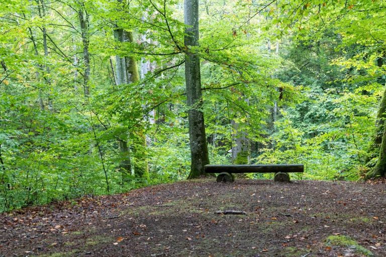 Réouverture du sentier du Beerenweg ce vendredi 2 octobre